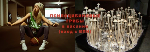 ECSTASY Карпинск