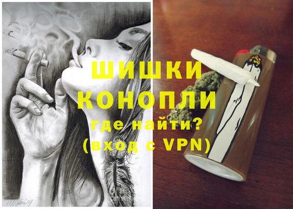 тгк Касимов