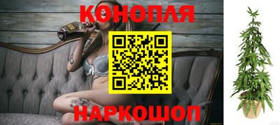 СК Волгодонск