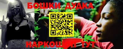 меф Гатчина
