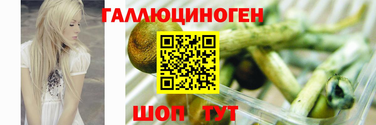 Домодедово  Галлюциногенные грибы мухоморы  Вход с VPN 